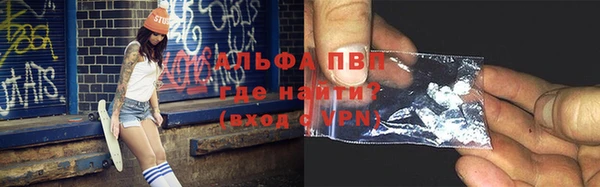 прущие крисы Белокуриха