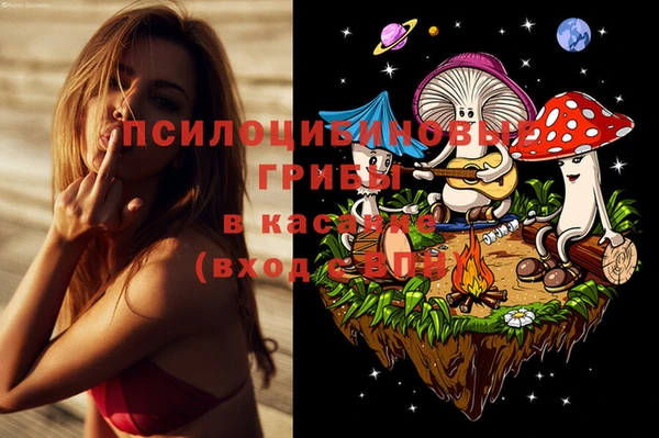 прущие крисы Белокуриха