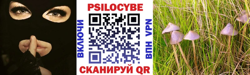 Галлюциногенные грибы прущие грибы  ОМГ ОМГ   Зеленоградск 